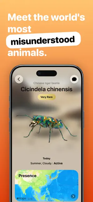 Bugsy – Insect Collection Quiz screenshot 1