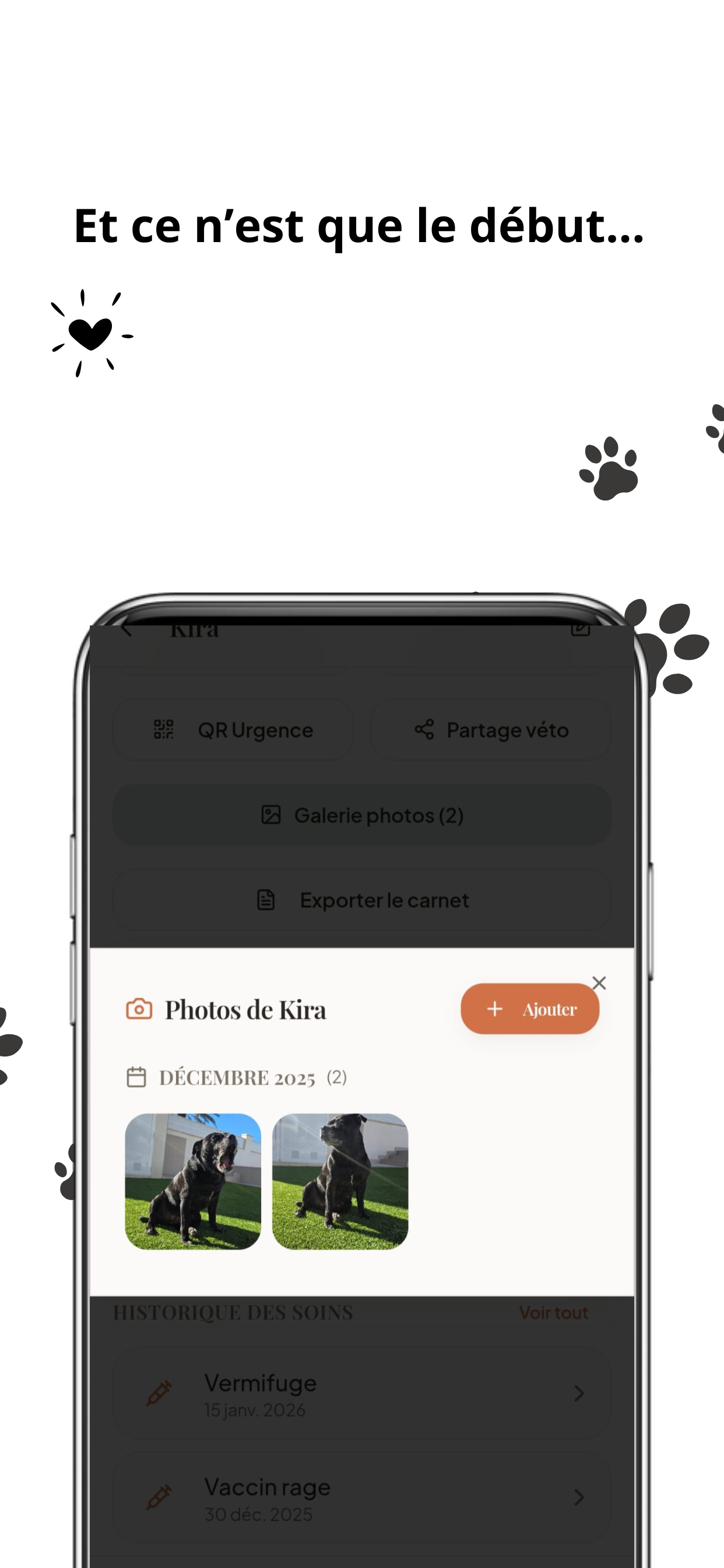 Animora