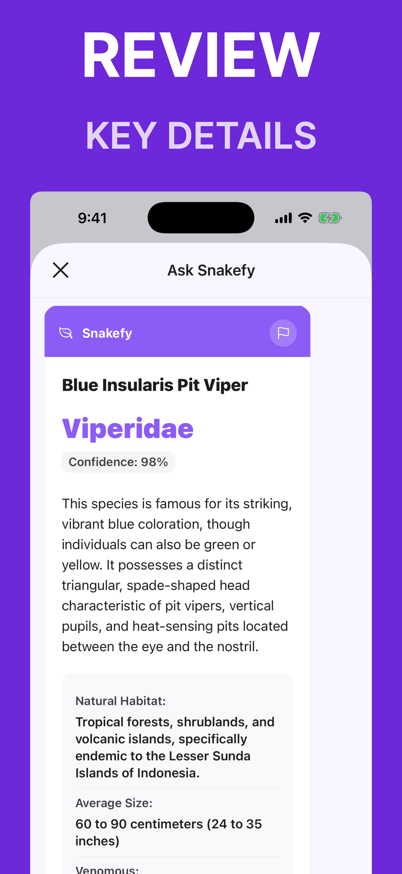 Snakefy: Snake Identifier