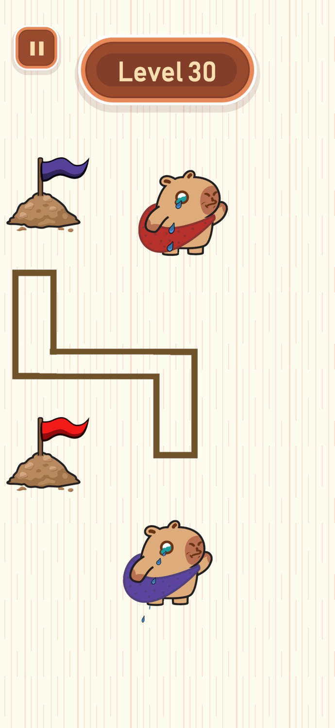 Capy Rush Race  Draw Puzzle