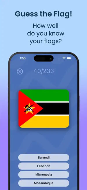 Guess The Flag! screenshot 1