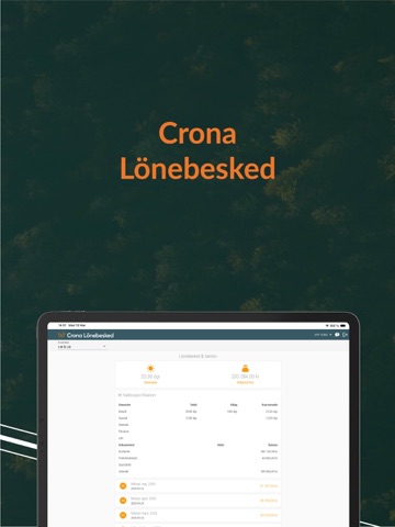 Crona Lönebesked iPad screenshot 5