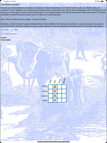 iDetective Logic Puzzles iPad screenshot
