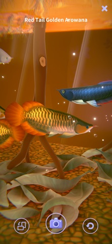 AQUALIA Screenshot 6 of 10