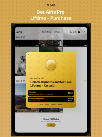 Airis - Cull, Pick Best Photos iPad screenshot