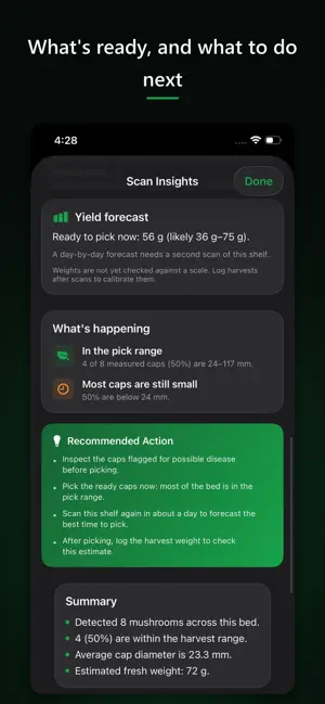 Mushvision screenshot 4