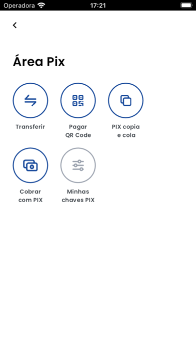 Ethios Bank Screenshot