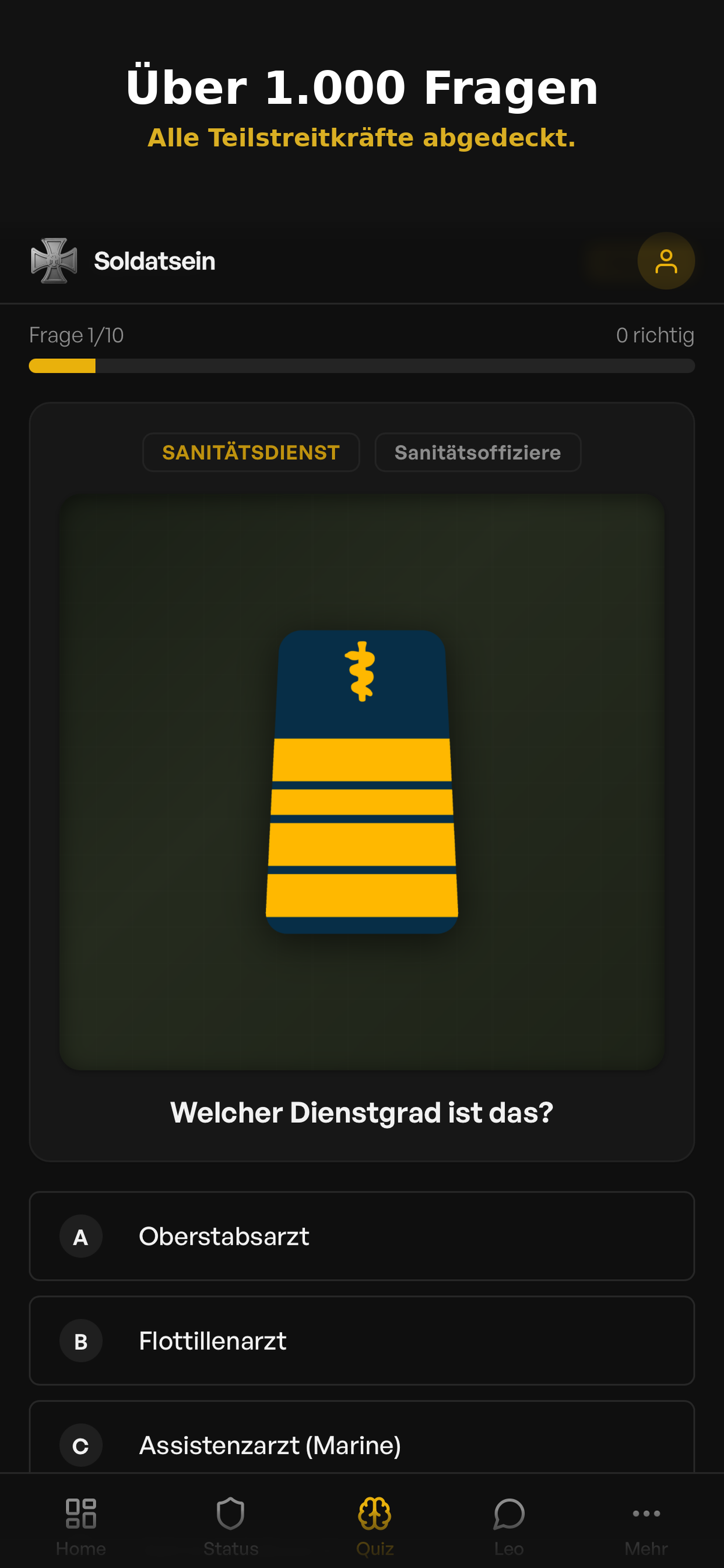 Soldatsein