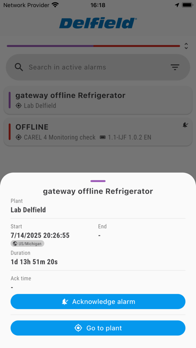 Delfield DSL Screenshot