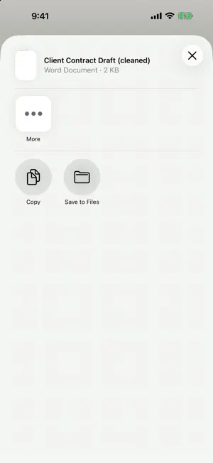 Metadata Cleaner: Word & PDF screenshot 3