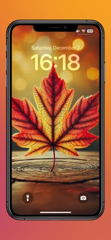 Aesthetic Wallpaper Gallery screenshot