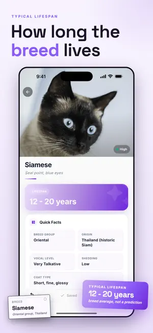 Cat Breed Identifier: Scan screenshot 2