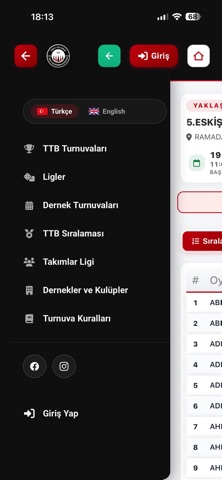 Türkiye Tavla 스크린샷 4