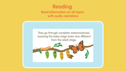 Insects and Bugs for kids Screenshot