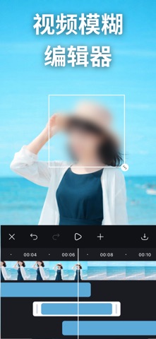 视频模糊 - 马赛克 screenshot