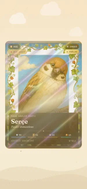 Gündüz Atlası: Nature Cards screenshot 1