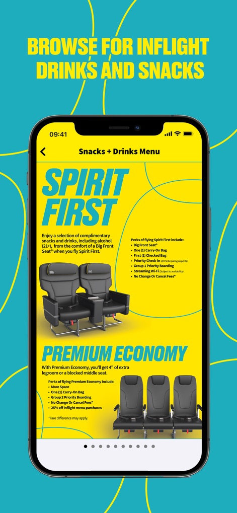 Spirit Airlines - Inflight Delights Explored