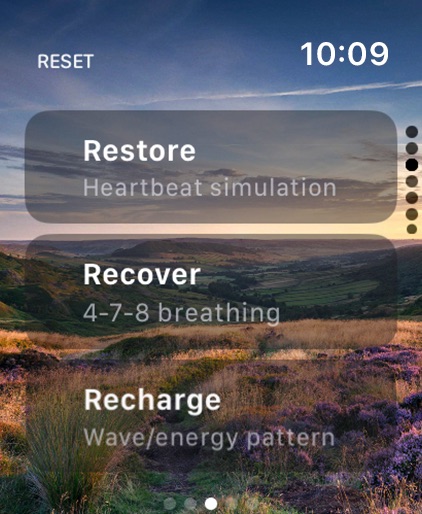 Apple Watch screenshot
