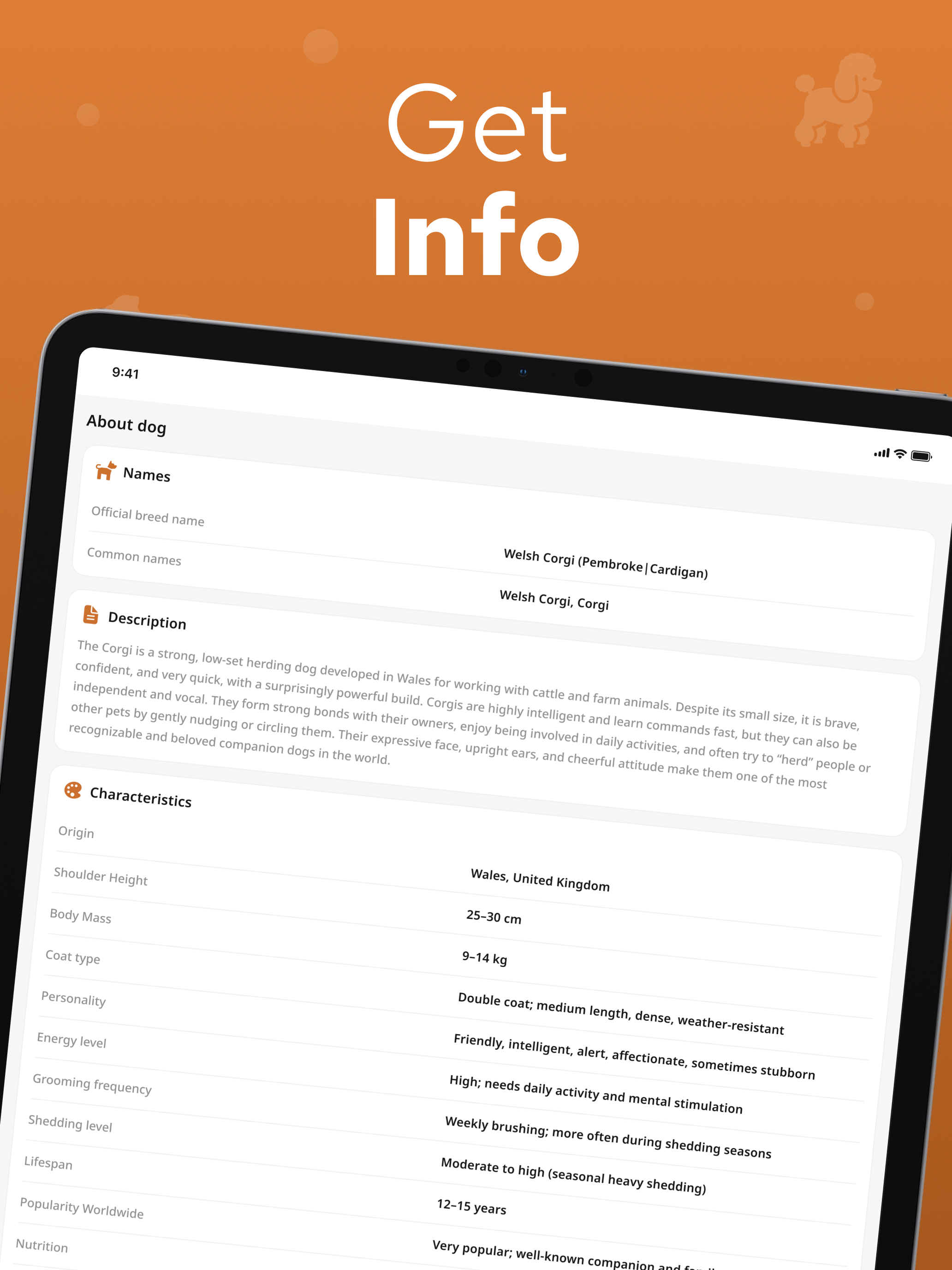 Dog Breed Identifier – Dogium