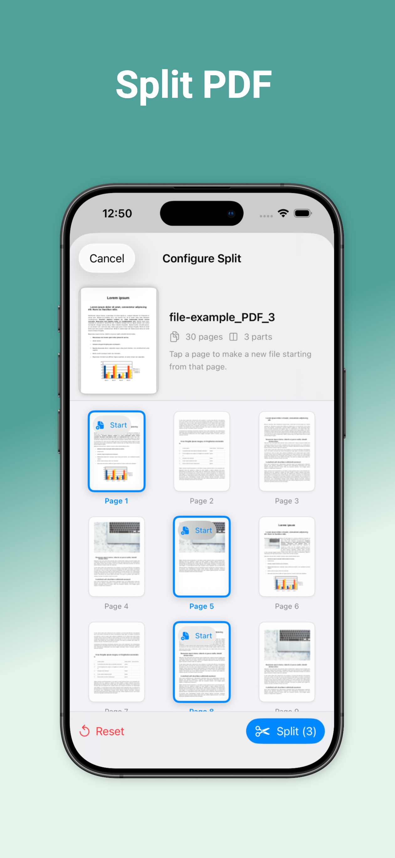 DocPI- PDF to Images screenshot 8