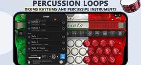 Accordion Cassoto Diatonic screenshot