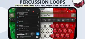Accordion Cassoto Diatonic screenshot 4