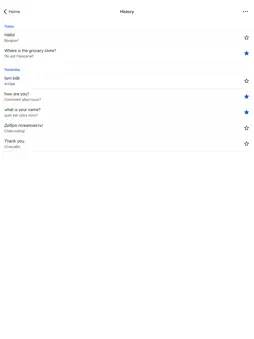 Google Translate screenshot 7
