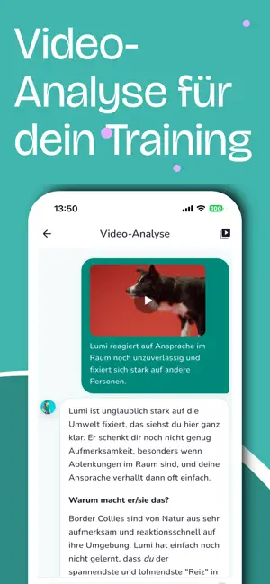 Hundecoach Luna screenshot 2