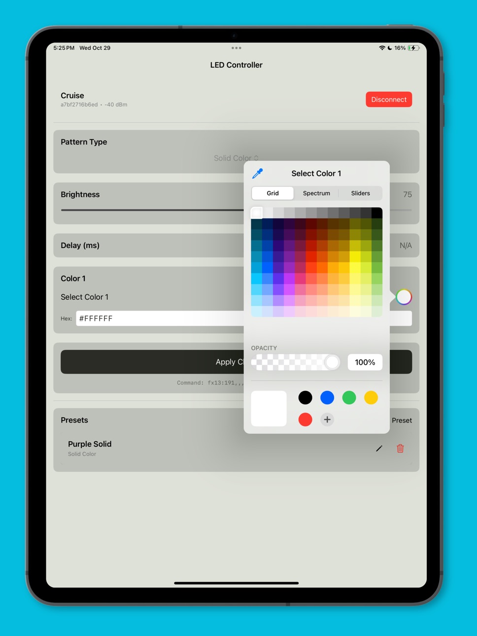 iPad screenshot