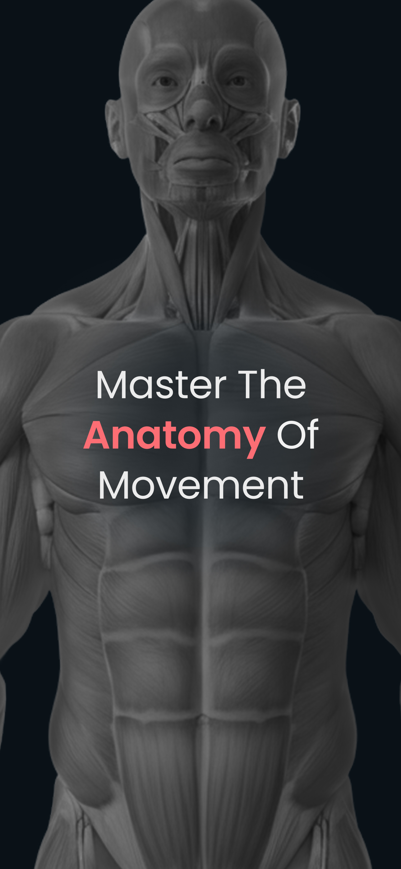 Anatomy by M&M