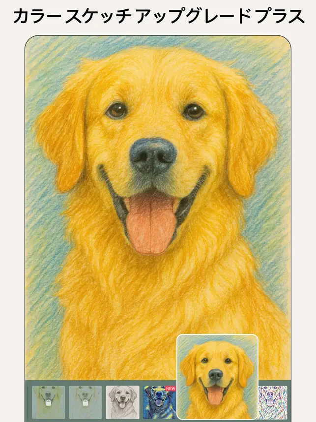 Pencil Sketch-写真鉛筆画,スケッチ加工,カメ‪ラ‬4+_4