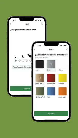 Captura de pantalla de Merlin Bird ID Por Cornell Lab en iPhone 7
