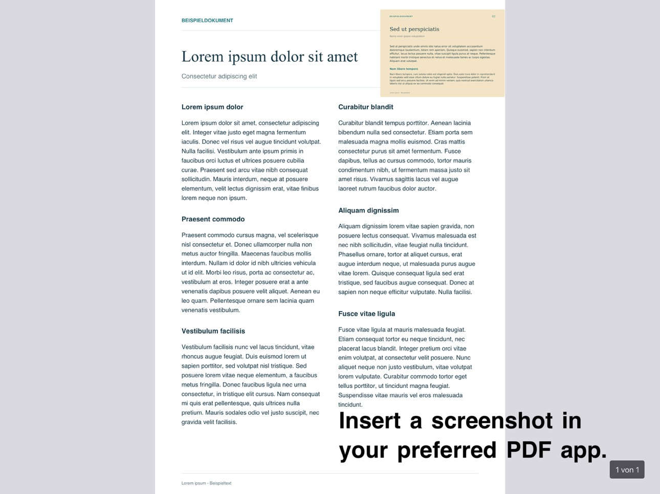Screenshot 8 of InlayPDF