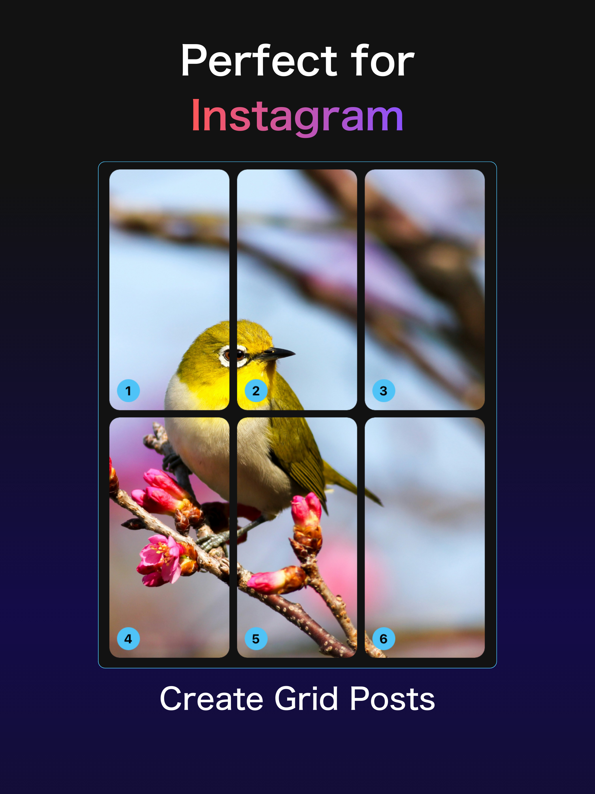 Grid Cuts - Photo Splitter screenshot 8