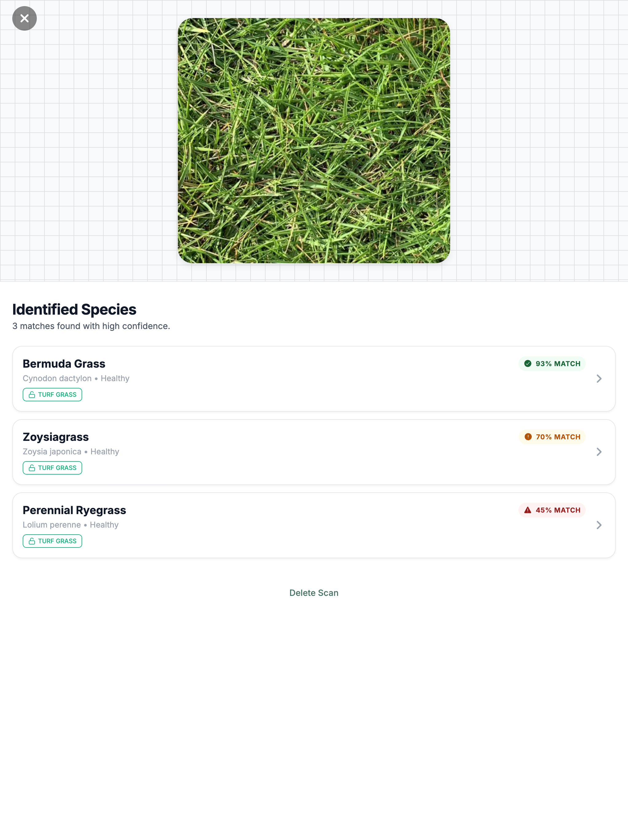 Grass Identifier: Lawn Care ID