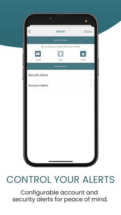 Country Bank Business Screenshot