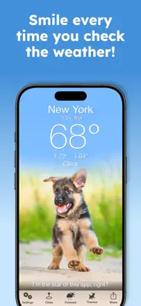 Weather Puppy Forecast + Radar: Screenshot 1 von 4
