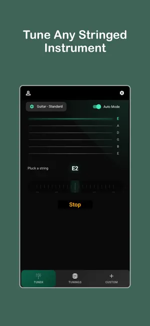 Tuner Dude: Pro Tuner screenshot 1