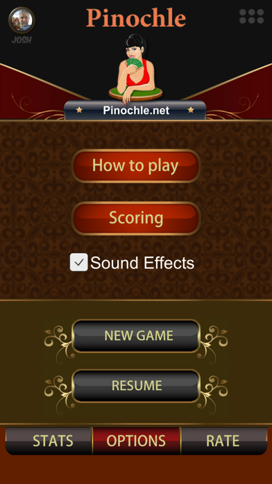 Pinochle.Net Screenshot