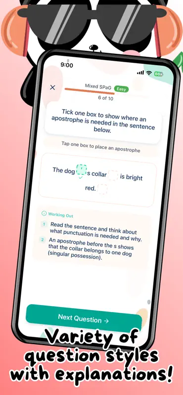 Bamboo Brain SATs screenshot 8 of 10
