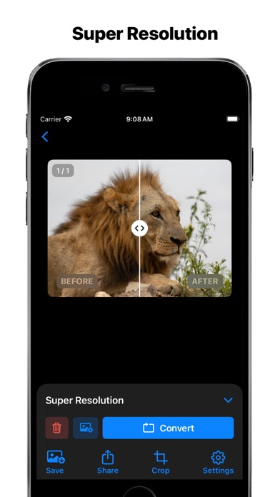 Pic Ai - Enhance Photo Screenshot