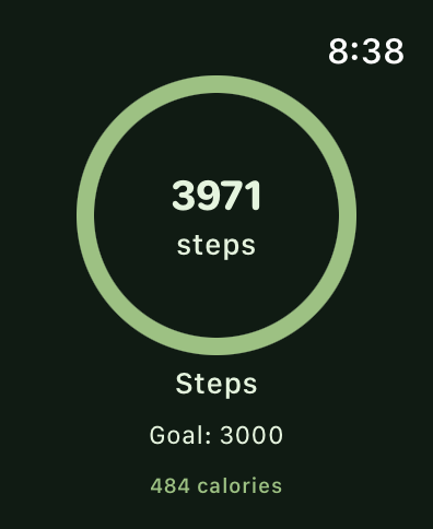 StepZen: Pedometer Counter