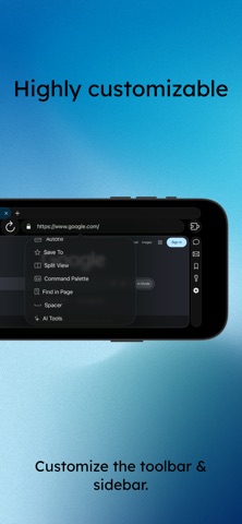 Balance Browser screenshot