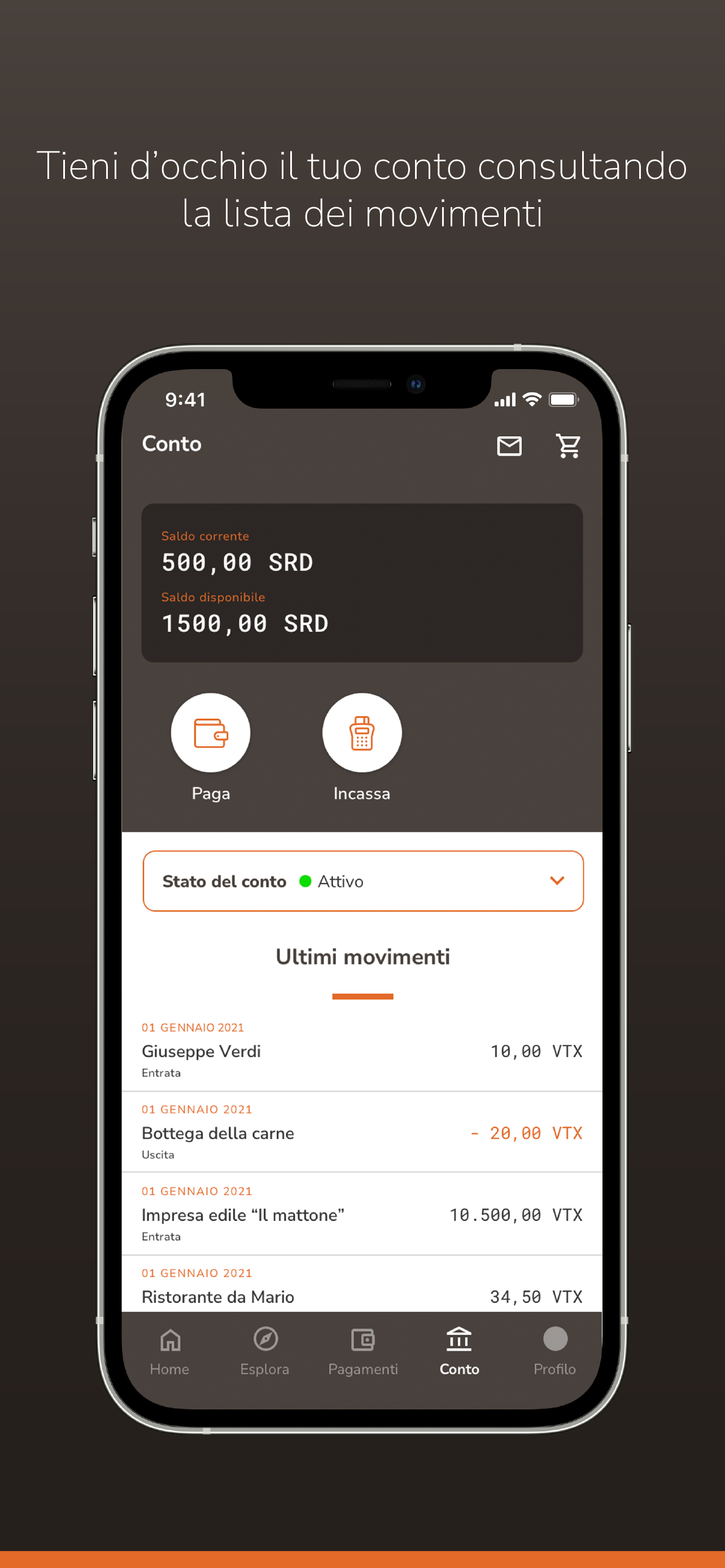 Io Pago Venetex screenshot 6