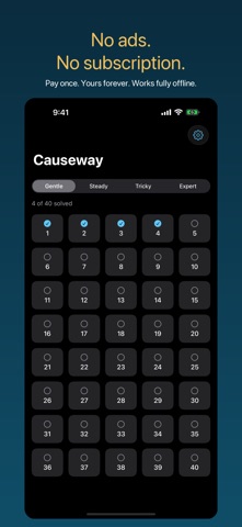 Causeway: Bridge Logic Puzzle screenshot 2