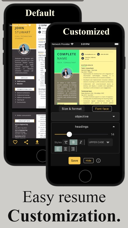 Professional Resume - Resji