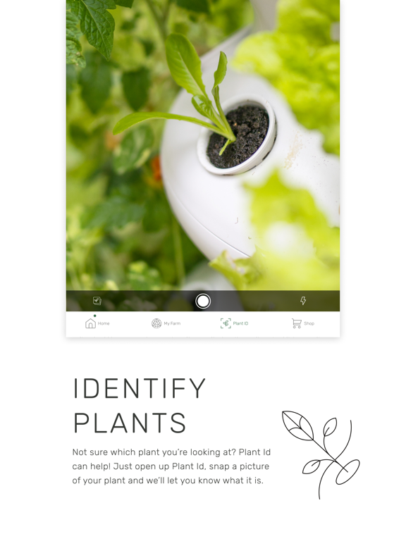 Screenshot #5 pour Lettuce Grow