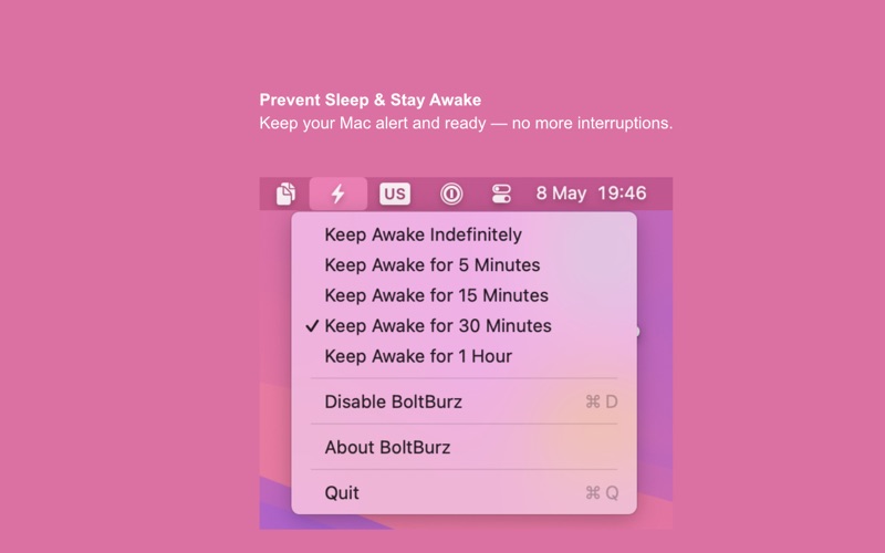 BoltBurz screenshot