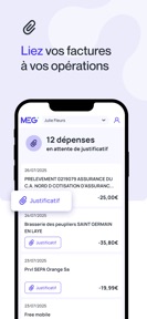 MEG - Mon Expert en Gestion screenshot