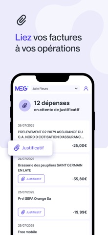 MEG - Mon Expert en Gestion screenshot